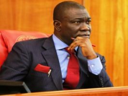 Ekweremadu bags World’s Outstanding citizen award